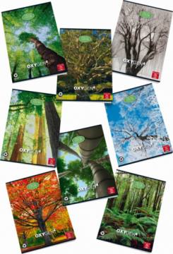 Zvezek Pigna Oxygen A4 mali karo A4 4953