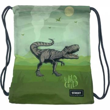 VREČKA ZA COPATE DINOSAUR 10658