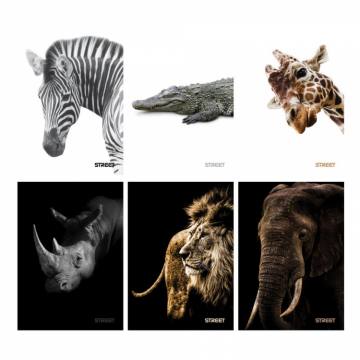 ZVEZEK STREET SAFARI A4 1R 54L 80GR A4 12430